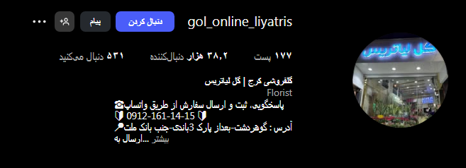 گل فروشی لیاتریس