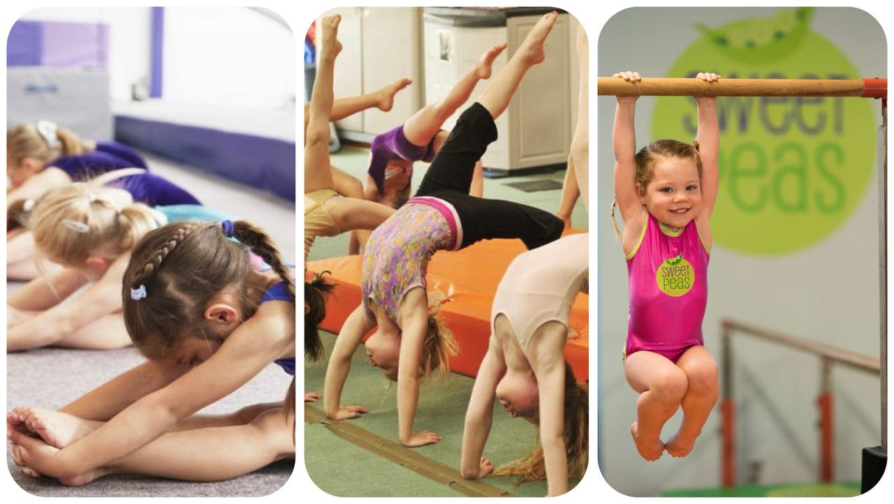 آکادمی ژیمناستیک در کرج